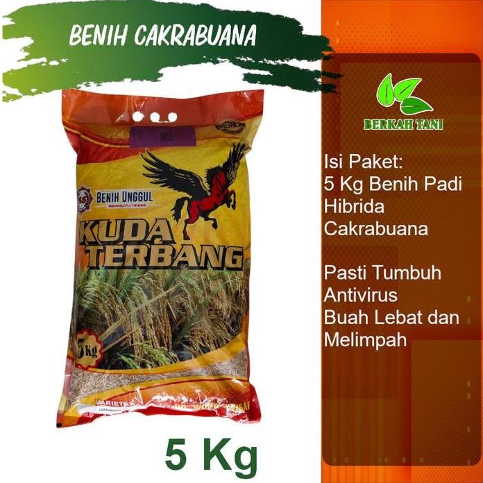 

Terlaris Benih Padi Cakrabuana 5 Kg Umur Genjah