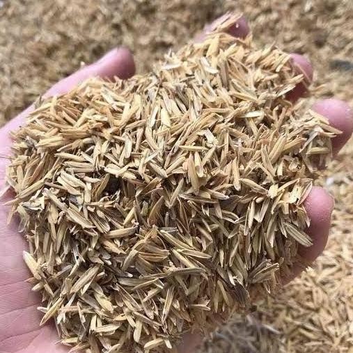 

Terlaris Sekam Padi Mentah 1 Kg