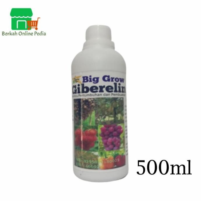 

Terlaris Big Grow Giberelin Pupuk Organik Pemacu Pertumbuhan, Pembungaan,Buah