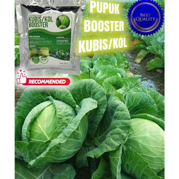 

Terlaris Murah Pupuk Booster Kubis/Kol Pupuk Penyubur Tanaman Kubis Pupuk Organik Cair Tanaman Kubis Pupuk Npk Cair Extra Rice Top Pupuk Cair Penyubur Akar Daun Tanaman Kubis Pupuk Pemicu Kubis Pupuk Cair Top Grow Murah Pupuk Booster Turbo Pemanis Non