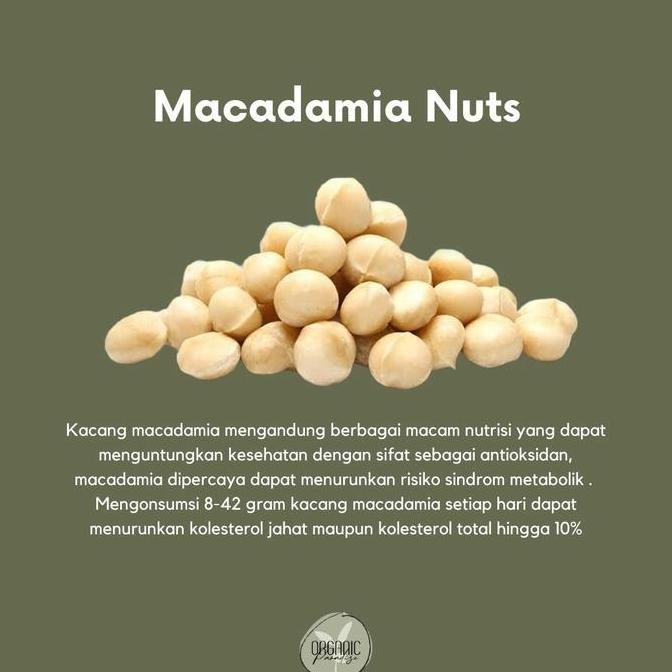 

Macadamia Nut 100 gr Premium / Kacang Macadamia 100 gr Premium