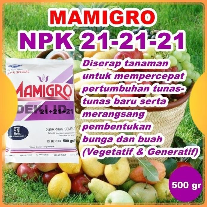 

Terlaris Mamigro Ungu 500 Gr Pupuk Npk 21-21-21 Nutrisi Pertumbuhan Tanaman Kemasan Pabrik