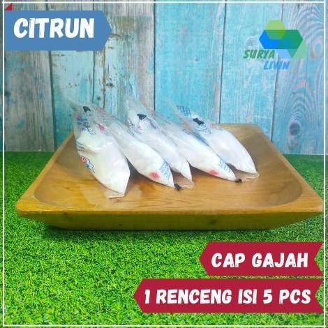 

Citric Acid Cap Gajah 50 gr / Asam Citrun / Sitrun / Pemutih