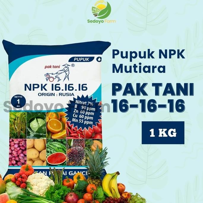 

Terlaris Pupuk Npk Mutiara Biru 16 16 16 Pak Tani Kemasan Pabrik 1 Kg Tanaman Kalium