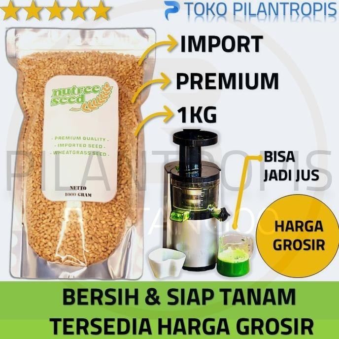 

Terlaris Pasti Promo Benih Wheatgrass 1Kg Bibit Rumput Gandum Biji Wheat Grass Microgreenori