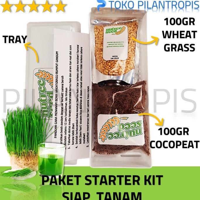 

Terlaris Paket Lengkap Starter Kit Benih Wheatgrass Bibit Rumput Gandum Kucing