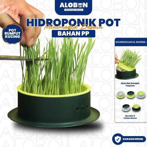 

Terlaris Terapik!!! Alobon Pot Rumput Kucing Paket Tumbuh Benih Gandum