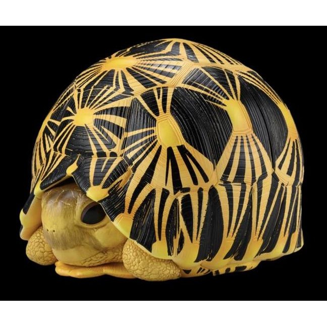 Radiata Tortoie Animal Heavenly Body Furine Patung Hiaan