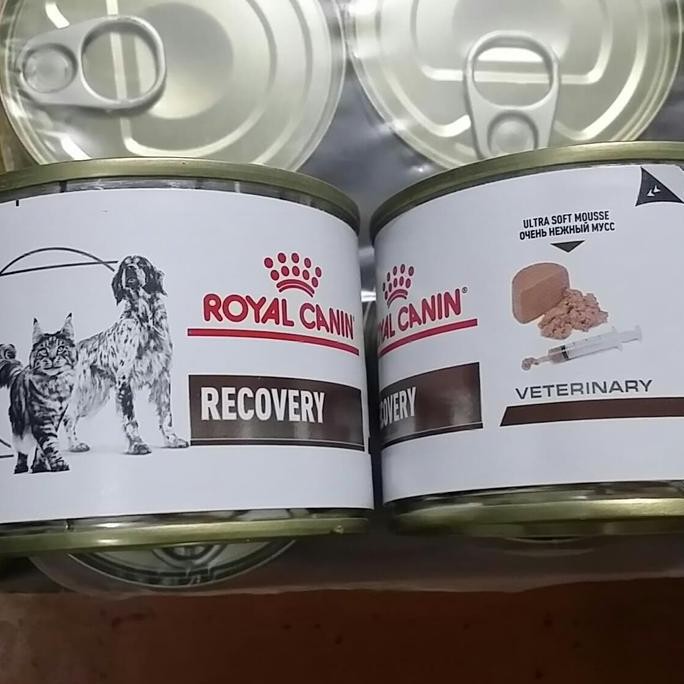 TERMURAH - GROSIR Royal Canin Vet Recovery 195 Gram