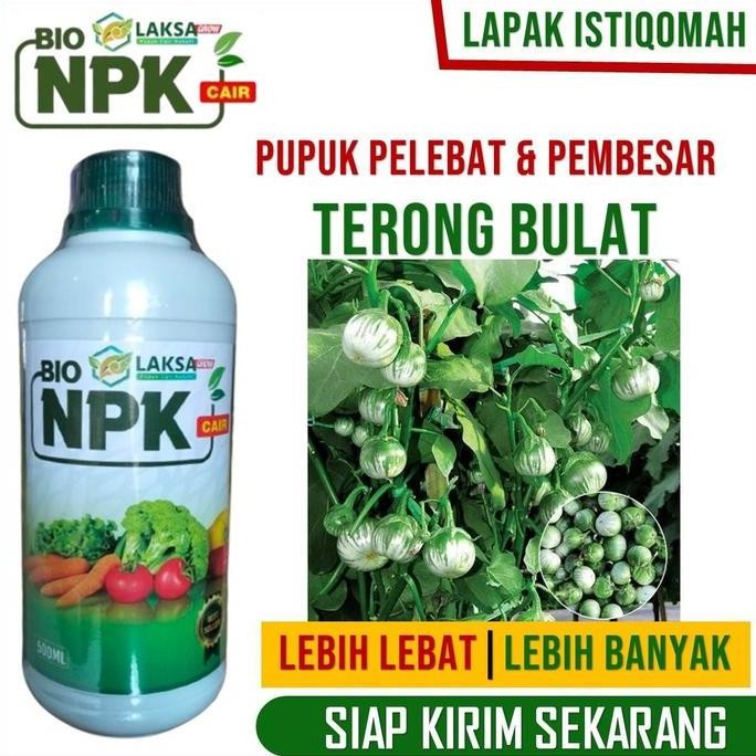 

Terlaris (Kirim Hari Ini) Bio Npk Laksa Grow 500 Ml Terong Bulat Lebih Banyak Lebat, Besar, Berisi Dan Berat, Obat Semprot Terong Bulat Terbaik Musim Panas Dan Musim Hujan, Pupuk Organik Terong Bulat Terbaik Rekomendasi Ahli, Pupuk Terong Istiqomah Grow