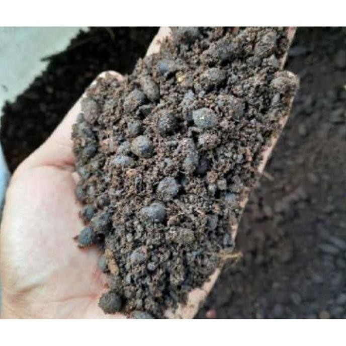 

Terlaris Pupuk Kandang 1 Kg Fermentasi