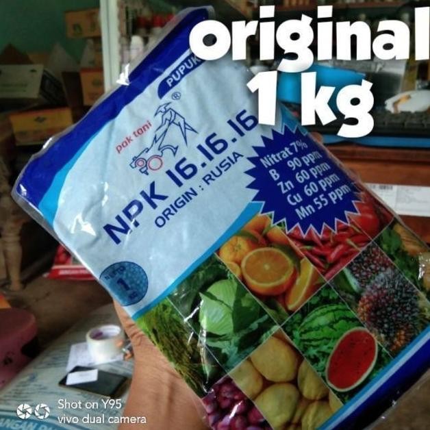 

Terlaris Pupuk Buah Npk 16-16-16 Pak Tani Import Dari Rusia Kemasan 1 Kg