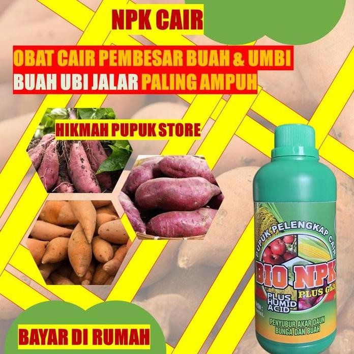 

Terlaris Bayar Di Rumah Bio Npk Gaza Penyubur Ubi Jalar Ungu Paling Bagus 500 Ml Obat Organik Cair Melebatkan Umbi Ubi Jalar