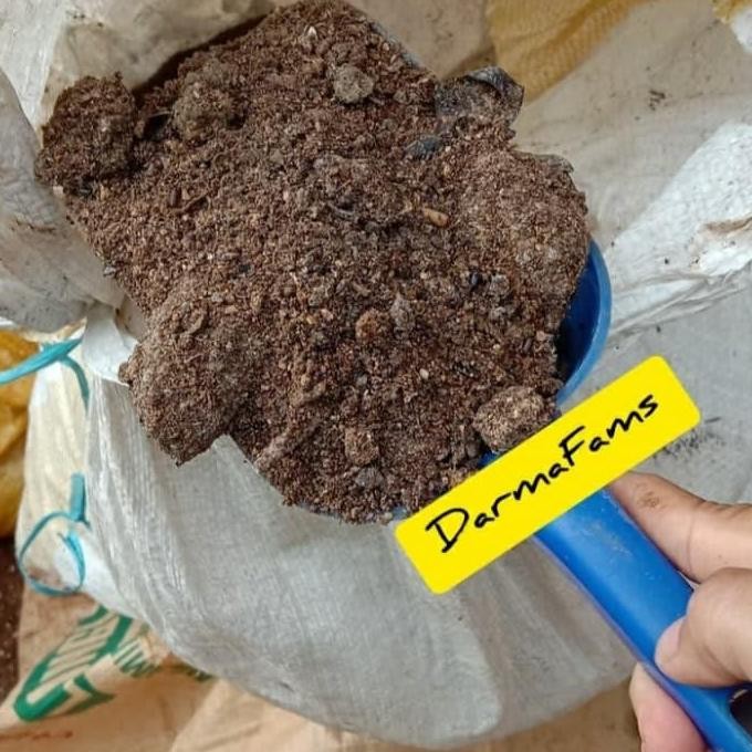 

Terlaris Pupuk Kandang Dari Kotoran Atau Fases Ayam Telur Asli