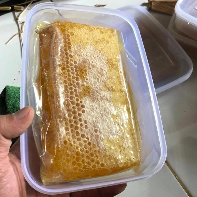 

BARU MADU SARANG ASLI 500 GRAM MURNI ALAMI HONEY