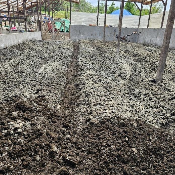 

Terlaris Pupuk Kandang Sapi Organik