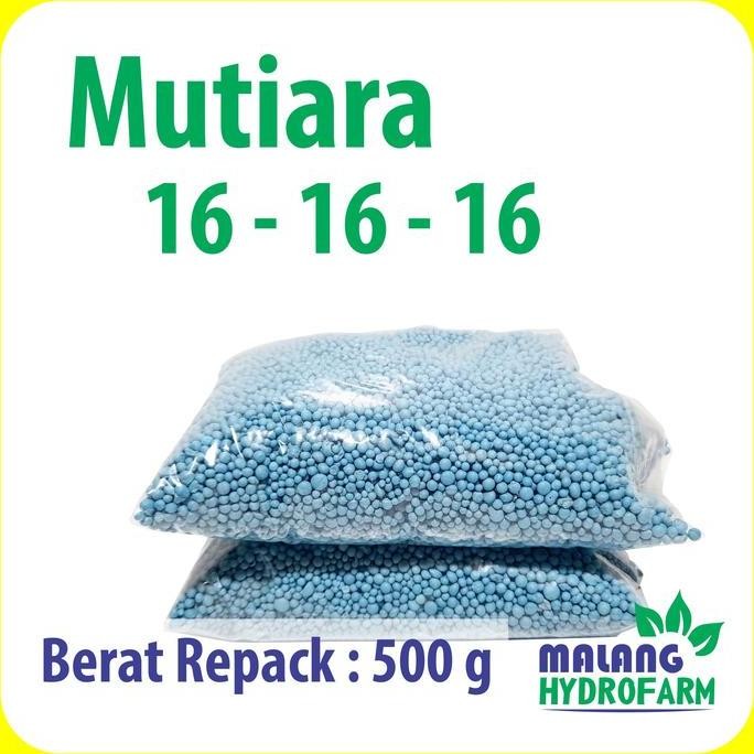 

Terlaris Pupuk Mutiara 16 - 16 - 16 Repack 500 Gram Pertanian Aglaonema Npk Pot