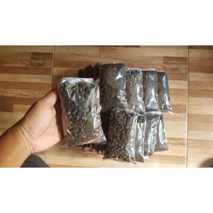 

Terlaris Allshop1- Pupuk Kandang Kohe Kambing Murni Tanpa Campuran