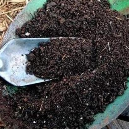 

Terlaris Media Tanam Tanah Subur 1 Zack Pupuk Kandang Pupuk Kompos Gojek Grab