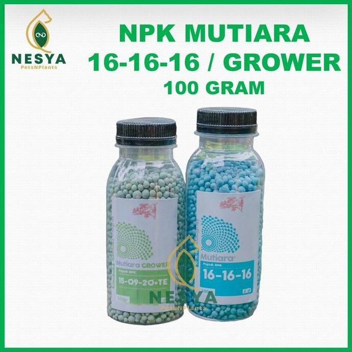 

Terlaris Pupuk Npk Mutiara 16 16 16 Npk Grower 15-09-20+Te Kemasan Repack 100 Gram Meroke Tetap Jaya