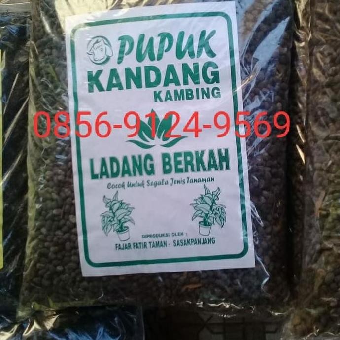 

Terlaris Pupuk Kandang Murni/Kotoran Kambing