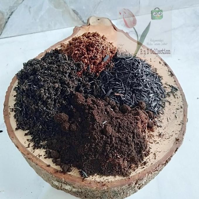 

Terlaris Wlcme! Tanah Media Tanam Pupuk Kandang Dan Kompos Siap Pakai