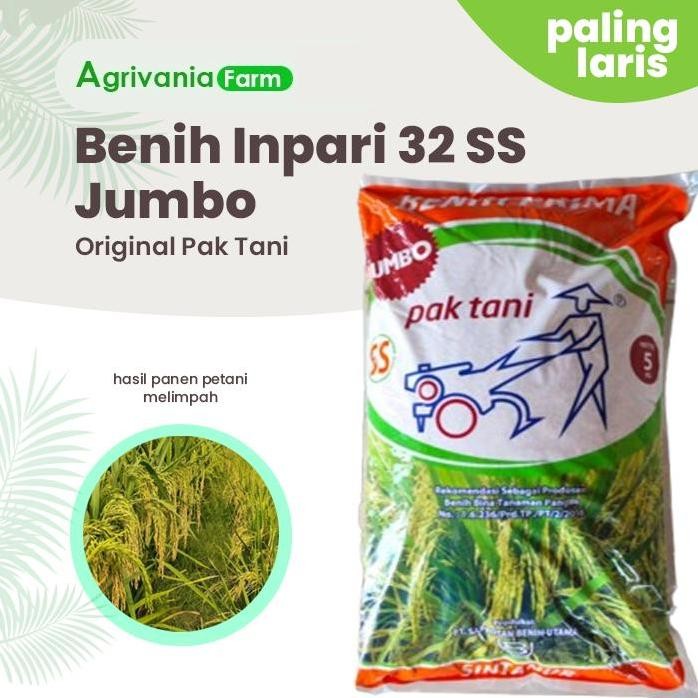 

Terlaris Biji Benih Padi Inpari 32 Ss Jumbo Terbaik Original Cod Gratis Ongkir