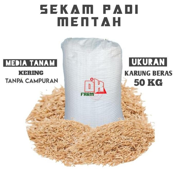 

Terlaris Sekam Padi 1 Karung Mentah Kering