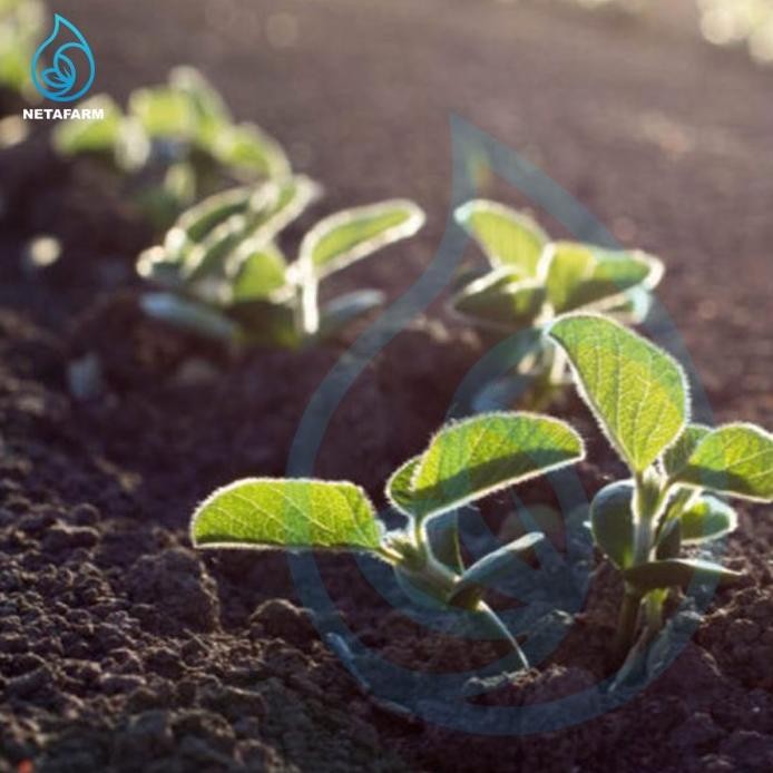 

Terlaris Pupuk Kandang Sapi Fermentasi Organik - 10Kg Kabbdo 6125Oz