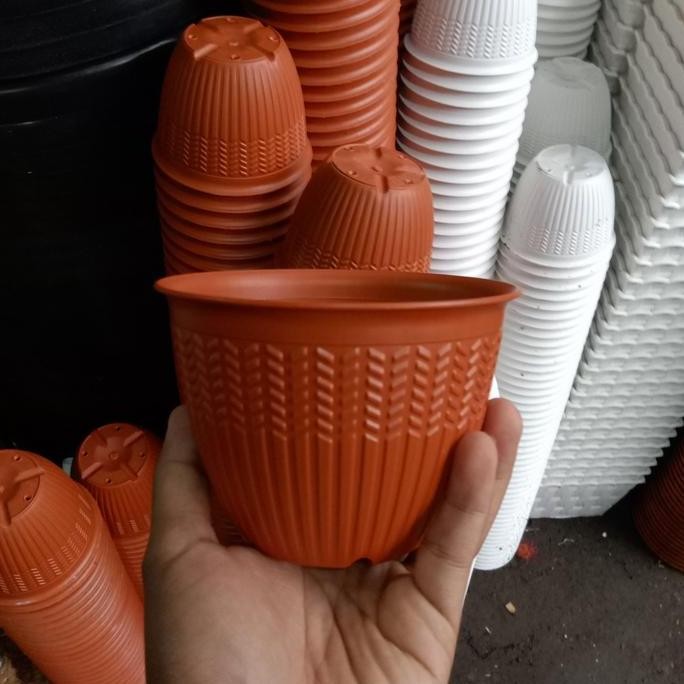 

Terlaris Pot Bunga Uk. 12 Motif Padi Termurah Sejabodetabek