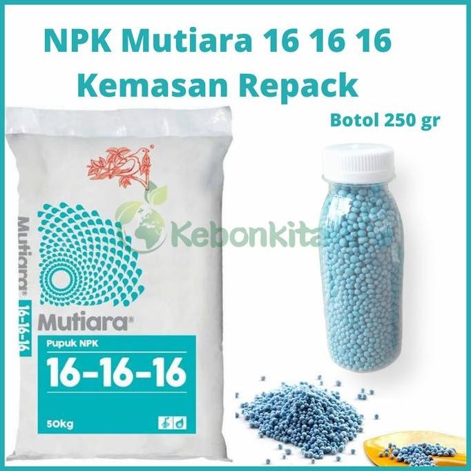 

Terlaris Pupuk Npk Mutiara 16 16 16 Meroke Kemasan Botol 250 Gram