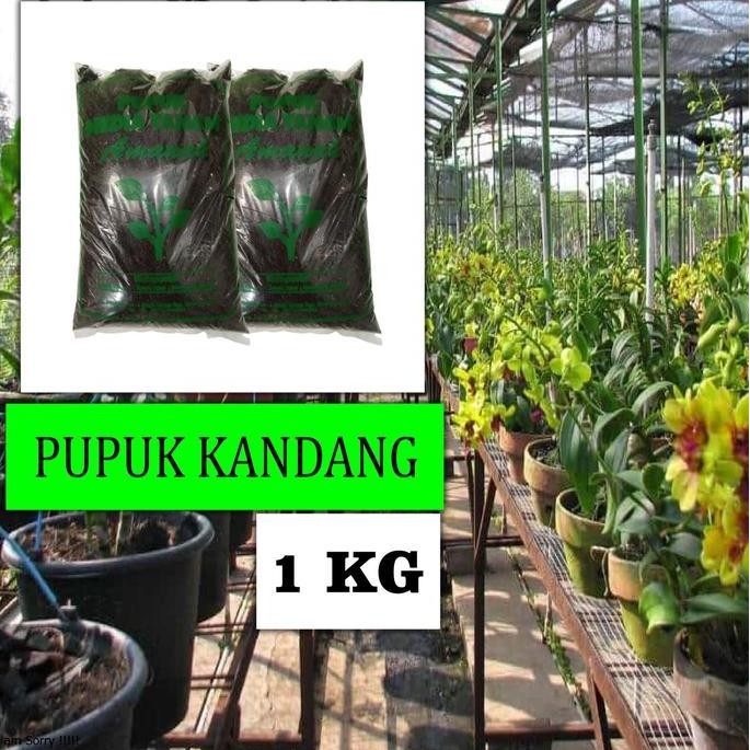

Terlaris Pupuk Kandang Kambing 1Kg