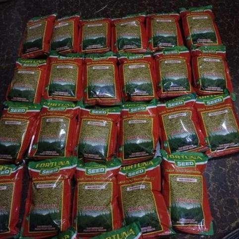 

Terlaris Benih Padi Hibrida Fortuna Seed F1. Kms 1Kg.Kemasan Pabrik Bibit