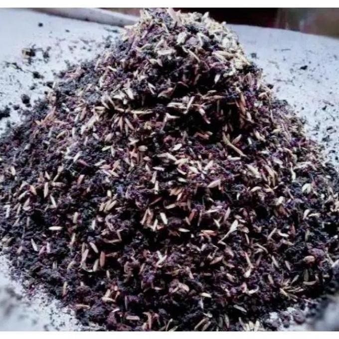 

Terlaris Media Tanam Campur + Pupuk Kandang Siap Pakai 1 Kg