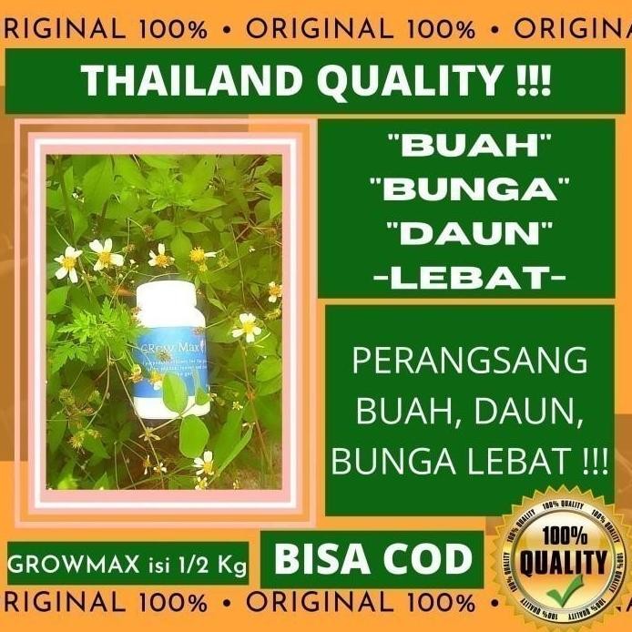 

Terlaris Grow Max Pupuk Npk Pengganda Pelebat Buah Bunga Daun Mangga Cabai Cabe