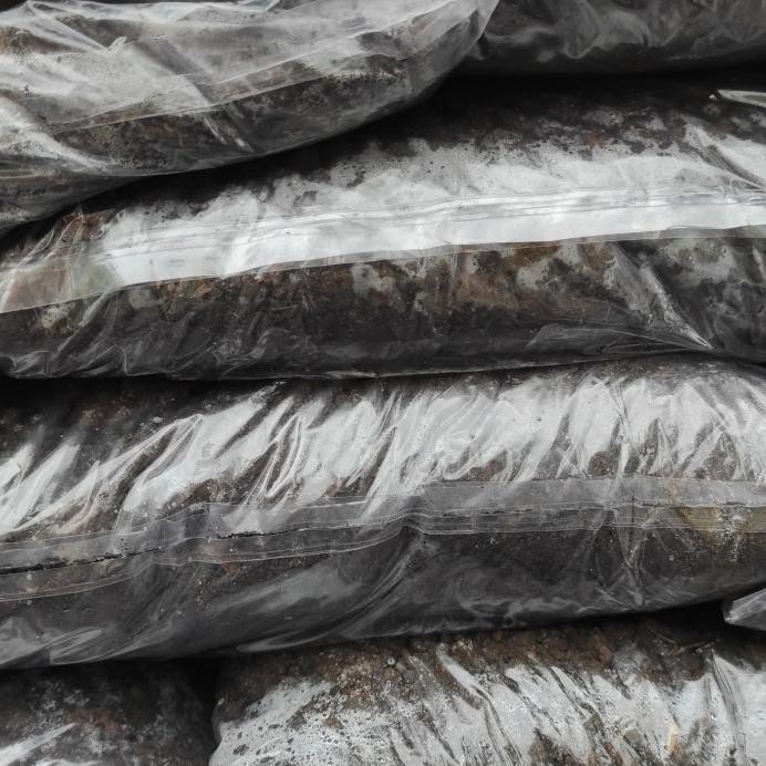 

Terlaris Pupuk Kandang Tai Kambing Murni Via Ojol Gosend Grap