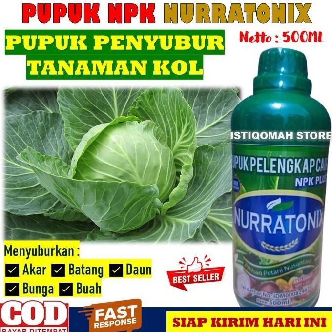 

Terlaris Pupuk Penyubur Akar Batang Daun Bunga Dan Buah Sayuran Kol Npk Nurratonix 500Ml Pupuk Penyubur Kol Kubis, Pupuk Daun Untuk Kol, Pupuk Buah Kol Super Lebat, Pupuk Pelebat Buah Kol Kubis Bagus Terbaik