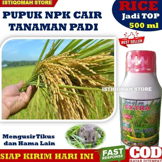 

Terlaris Pupuk Penambah Bobot Padi Paling Ampuh Pupuk Npk Cair Rice Jadi 500Ml