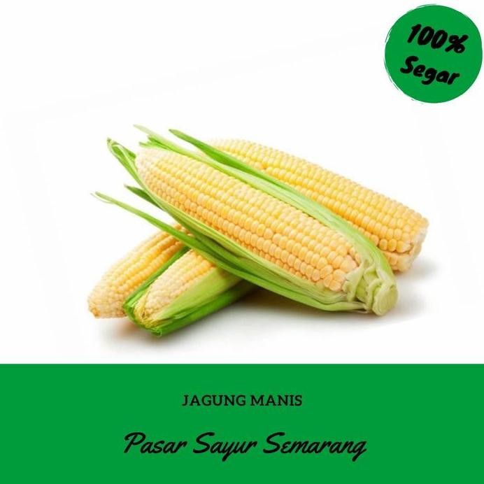 

Terlaris Sayur Sayuran Jagung Manis Segar Fresh 1Kg
