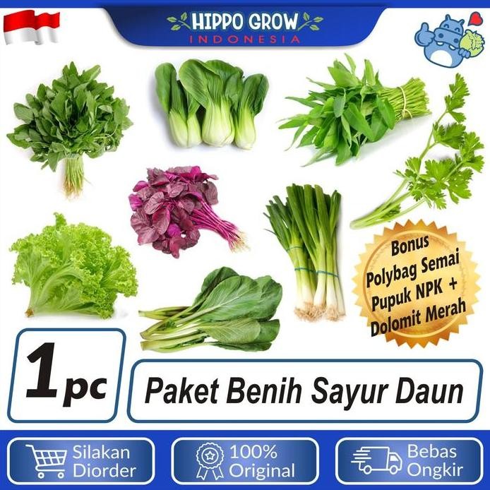 

Terlaris Paket Sayur Daun Bibit Tanaman Bonus Polybag Dan Npk