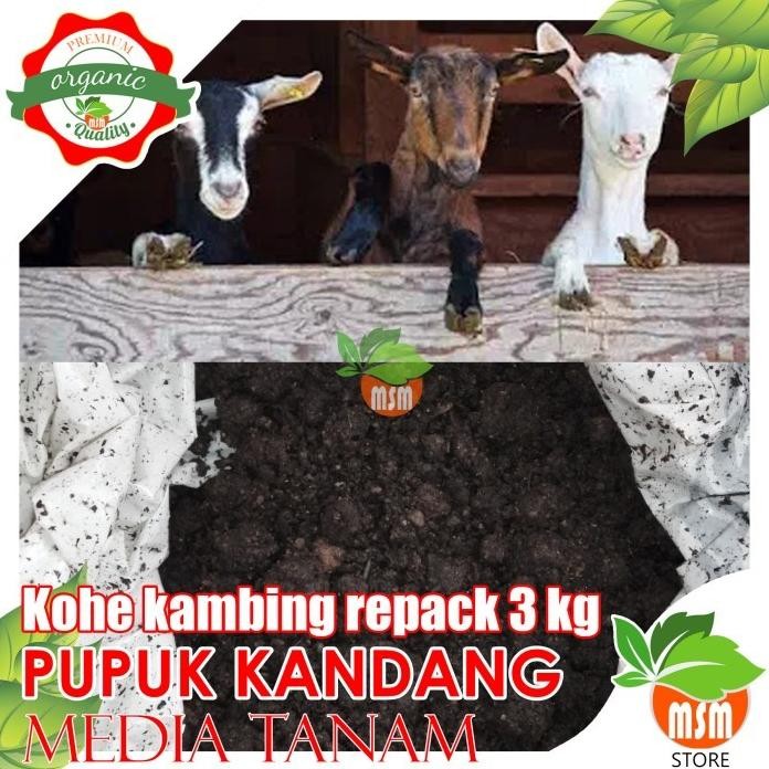 

Terlaris |Executive| Pupuk Kandang Kohe Kambing Kemasan 3 Kg Media Tanam