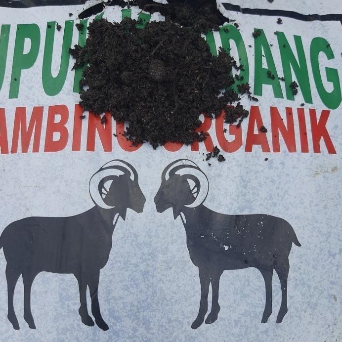 

Terlaris |Executive| Pupuk Kambing Fermentasi Organik Halus Murni Kandang Tidak