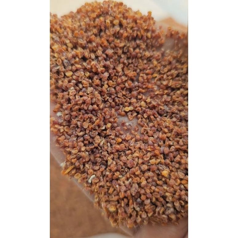 

Ready Telur Pua Kering/ Telur Jentit ( Pengganti Kroto Dan Telur Jangkrik ) Campuran Umpan Ikan Mas, Nila Ef Murai Batu