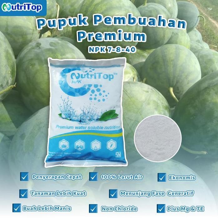 

Terlaris Pupuk Pembuahan Premium Npk 7-8-40 + Mg Te Nutritop 1 Kg