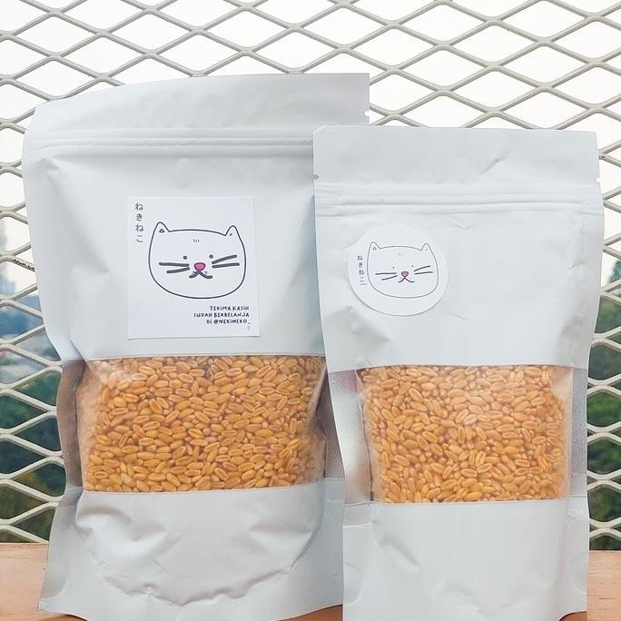 

Terlaris Benih Gandum Premium Rumput Kucing Nyaw Wheatgrass 250 Gram