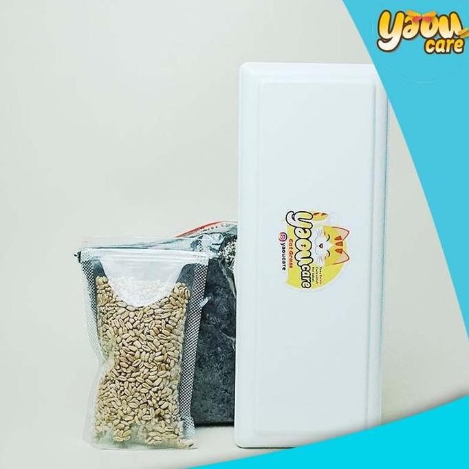 

Terlaris Paket Lengkap Starter Kit Benih Wheatgrass Bibit Rumput Gandum Kucing