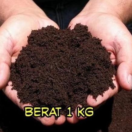 

Terlaris Media Tanam Tanah Subur Pupuk Kandang Pupuk Kompos Hidroponik