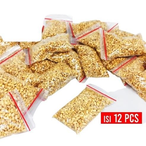 

Terlaris Grosir Benih Rumput Biji Gandum Bibit Rumput Kucing Organik Isi 12 Pcs Cat Grass Wheatgrass Bibit Murah Siap Tanam Untuk Makanan Kucing Snack Cemilan Penenang Anti Hairball