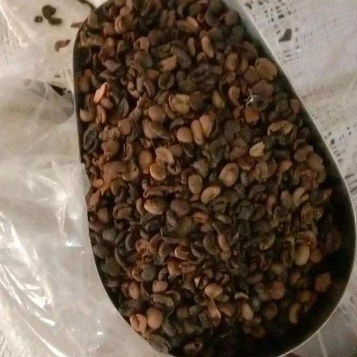 

Terlaris Greenbeans Rejek Arabika 1Kg Kering Wijen