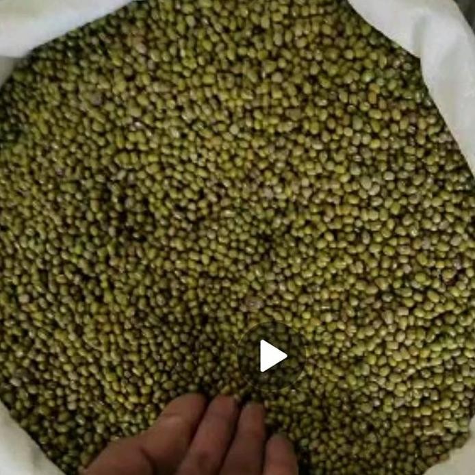 

Terlaris Kacang Hijau Kilap @25Kg